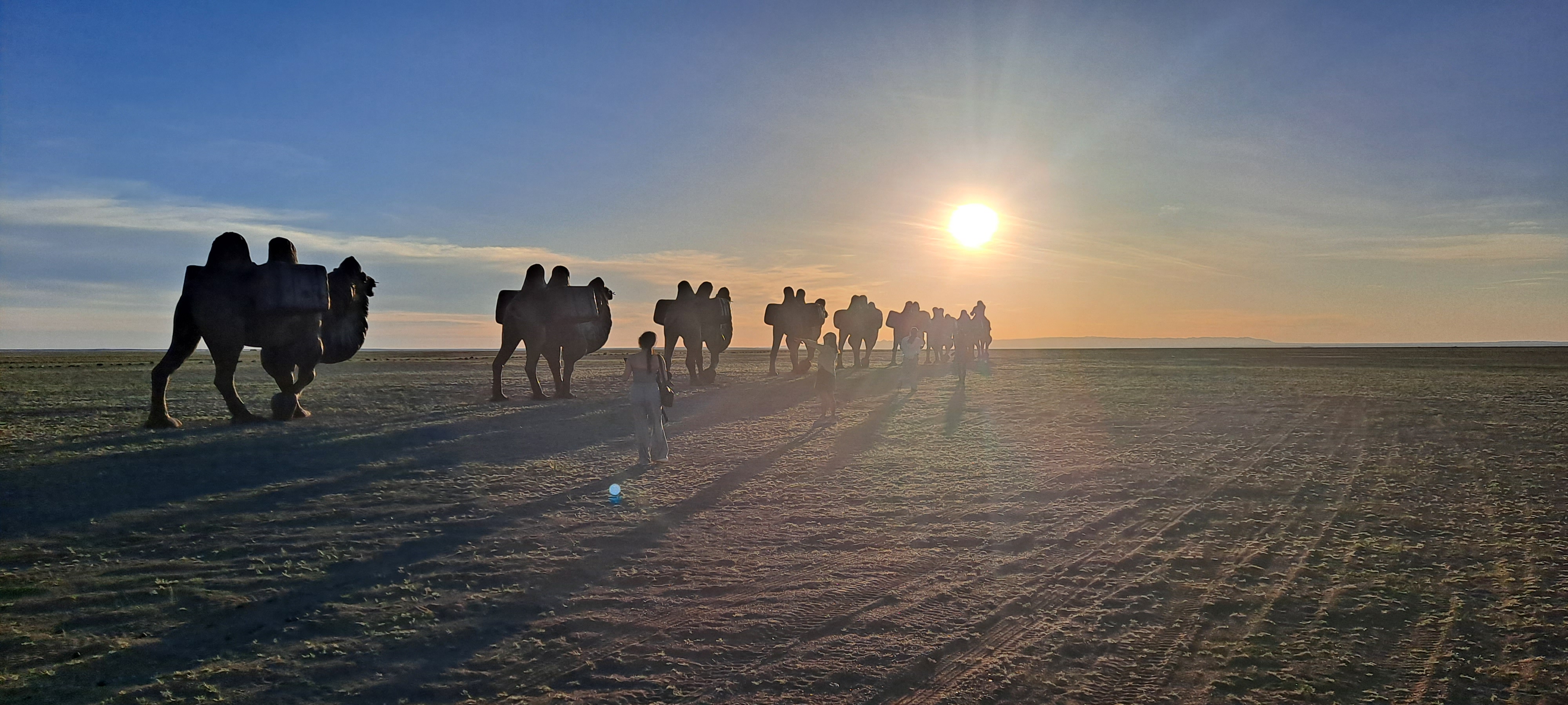 Camel caravan silhouette at golden hour