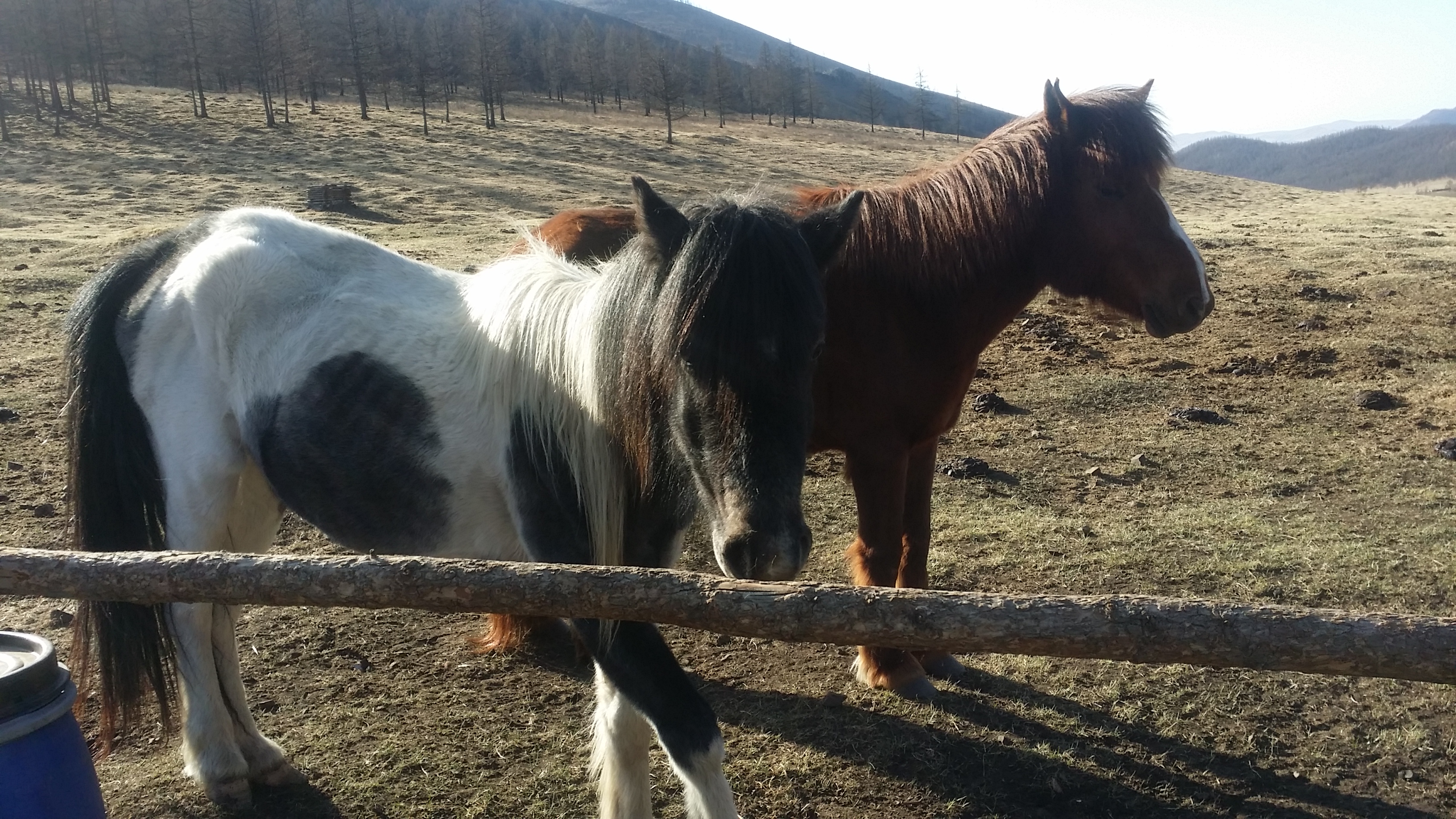 Wilderness camp beside a clear mountain stream