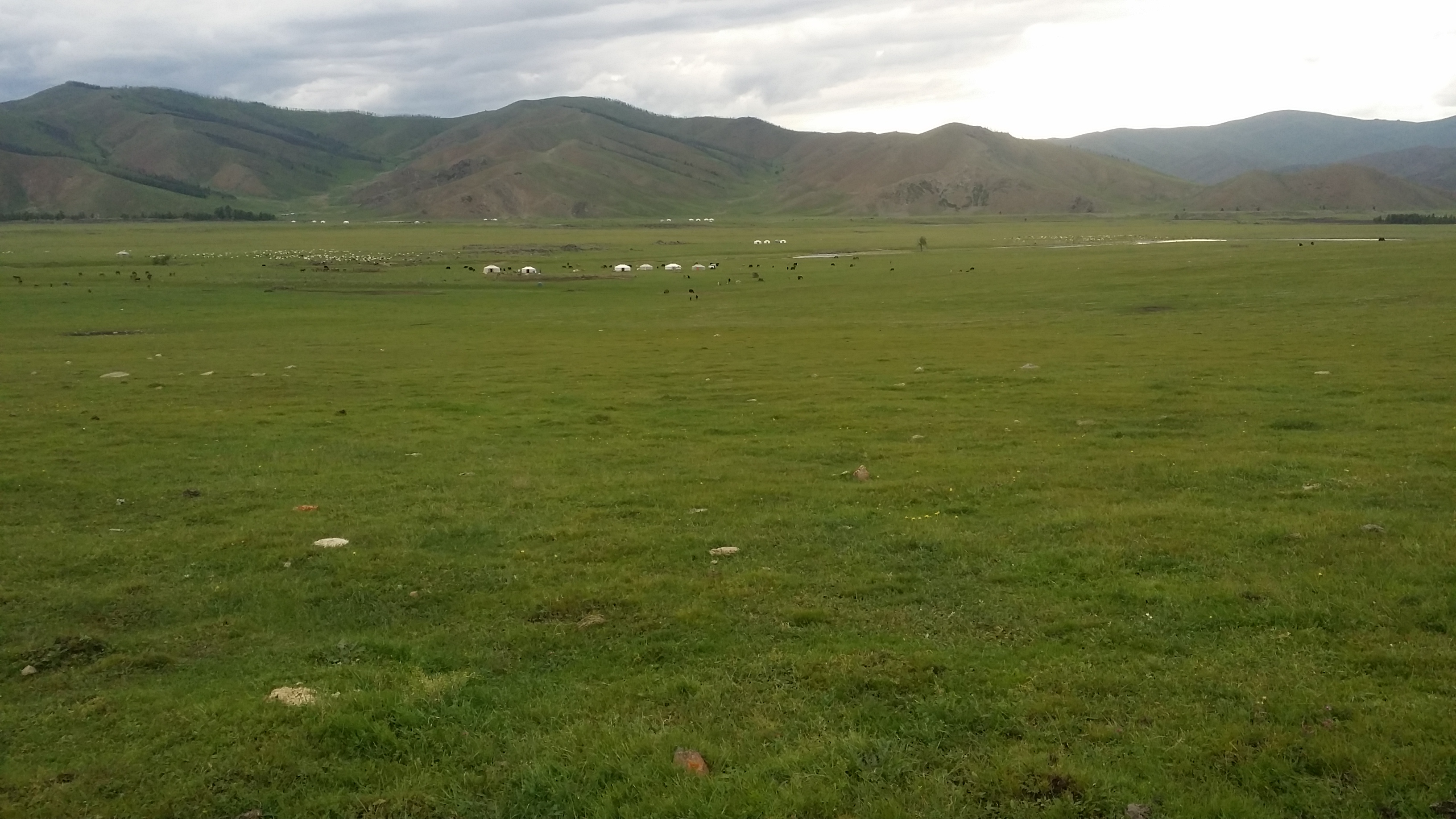 Horse trekking across the Mongolian steppe