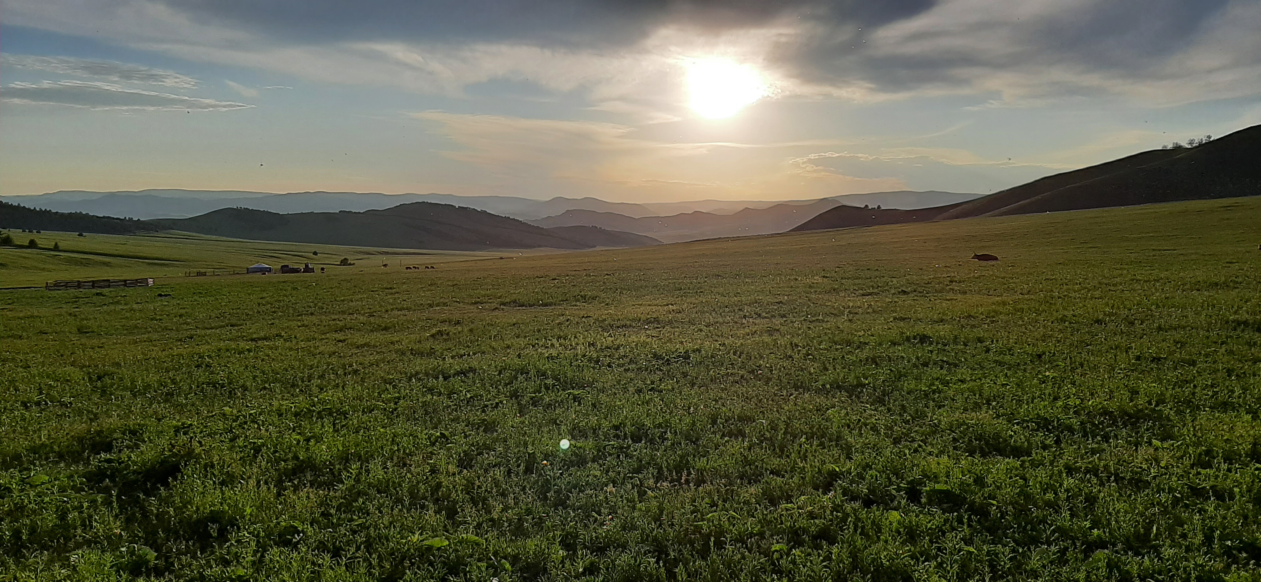 Traditional Mongolian ger camp on the open steppe